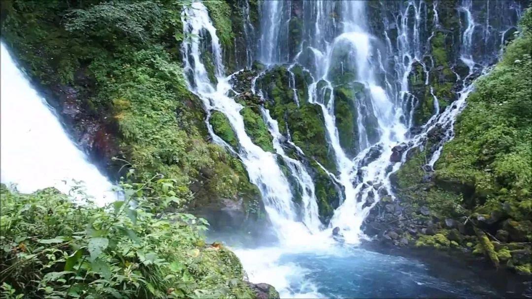 逃出奶油苹果屋